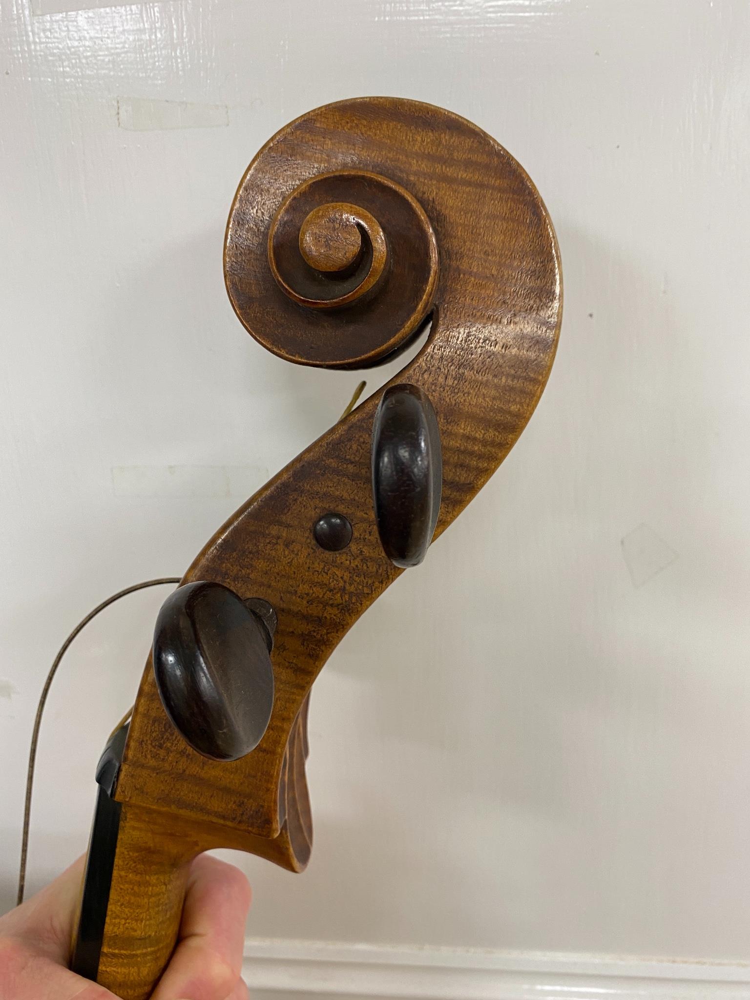 A late 19th century French cello, lob 75.5cm, canvas case with bow